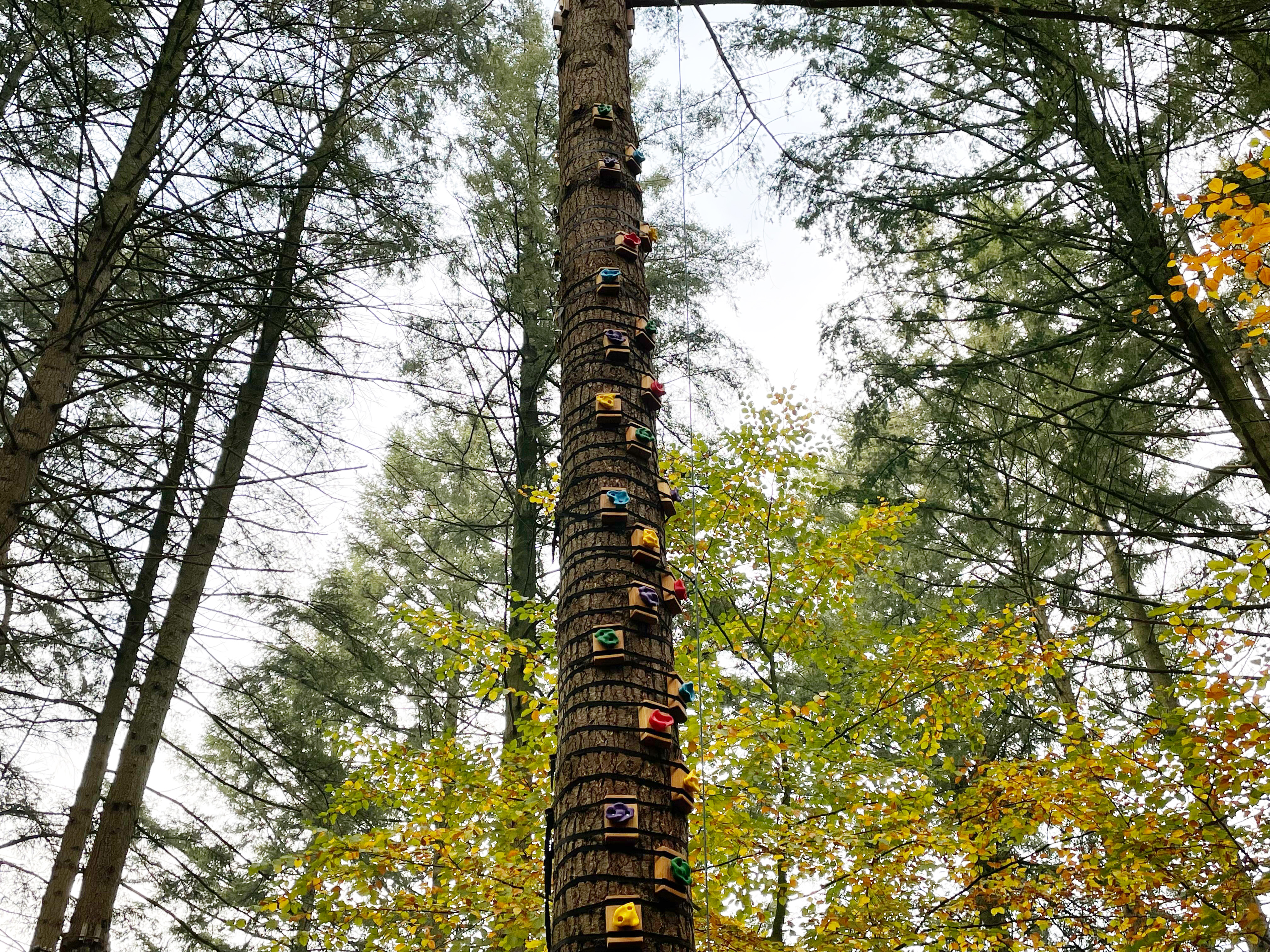 Kletterwald Nord GmbH & Co. KG – Bild 5