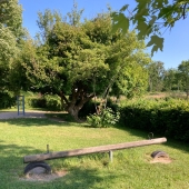 Spielplatz Sonnenplatz – Bild 6