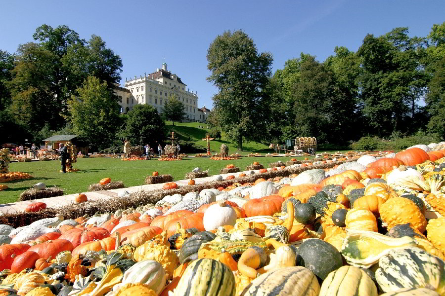 Blühendes Barock Gartenschau Ludwigsburg – Bild 5