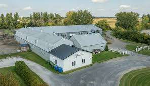 Farm Fantasia – Bild 2