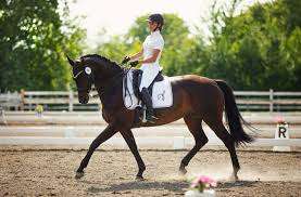 Farm Fantasia – Bild 4