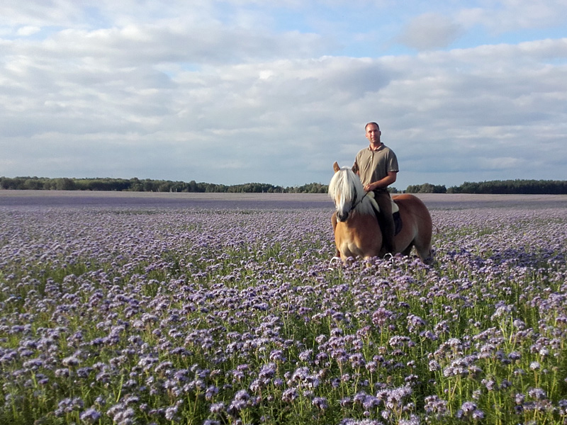 Reitpension Wiesengrund: Ferienwohnungen, Reiterhof, Bauernhof – Bild 3