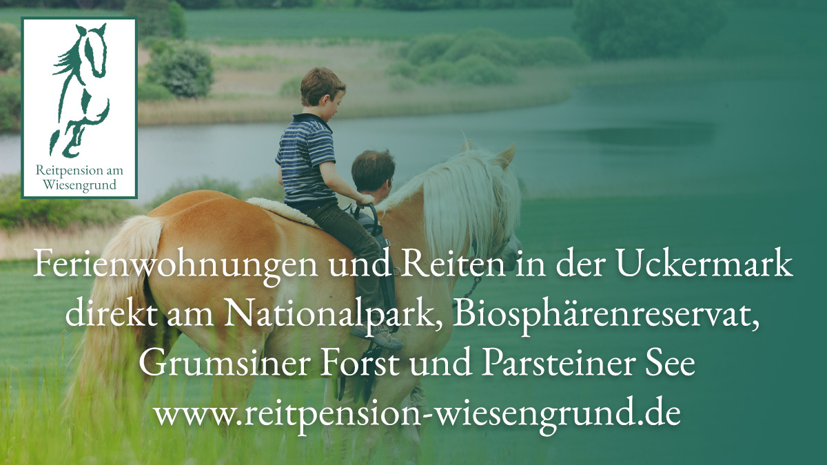 Reitpension Wiesengrund: Ferienwohnungen, Reiterhof, Bauernhof – Bild 4