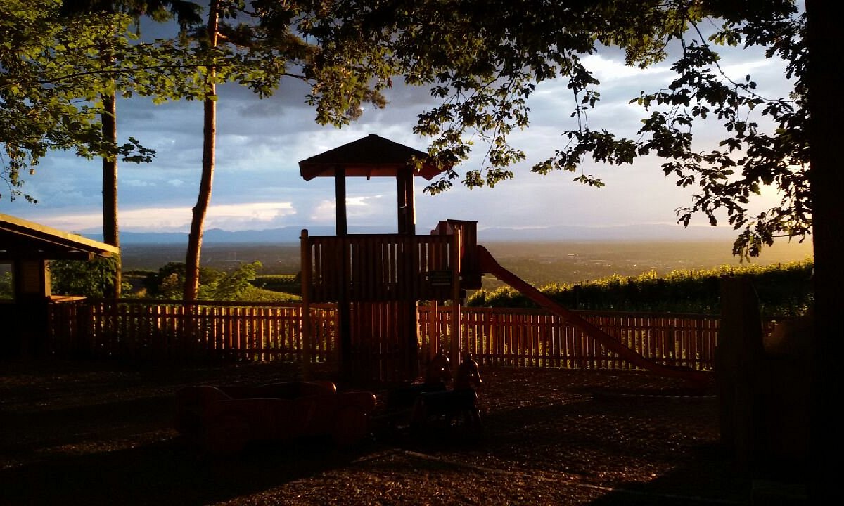 Spielplatz Wolfsgrube – Bild 2