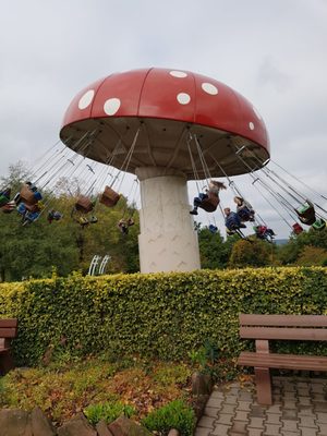 Erlebnispark Steinau an der Straße – Bild 6