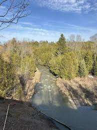 Somerset Park – Bild 2