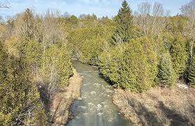 Somerset Park – Bild 3