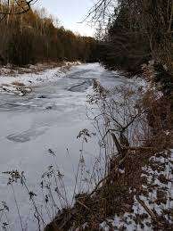 Somerset Park – Bild 6