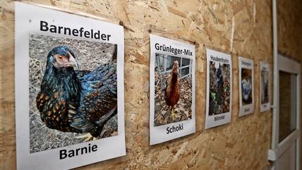 Kalbes Erlebnisbauernhof – Bild 2