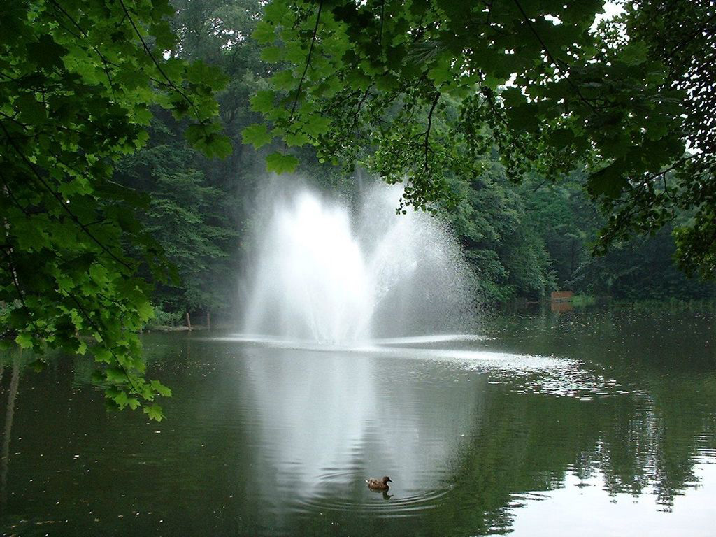 Volkspark – Bild 6