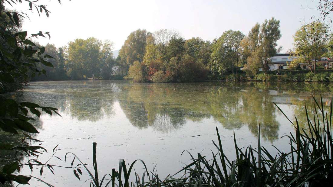 Leiselpark – Bild 4