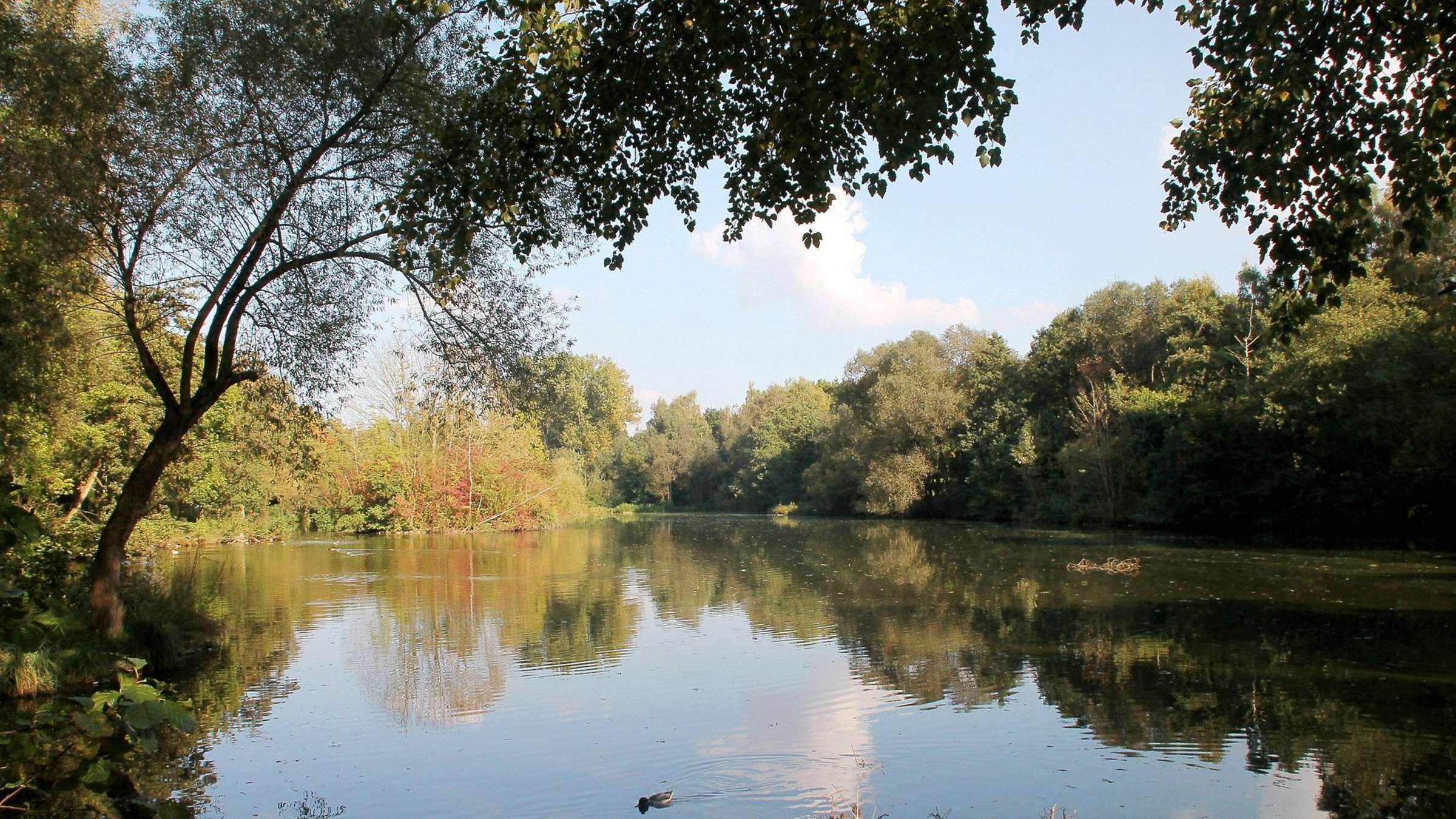 Leiselpark – Bild 5