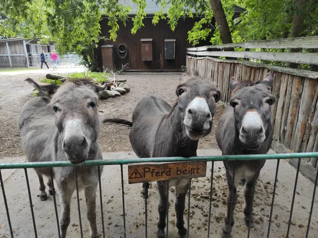 Tiergehege Bitterfeld – Bild 2