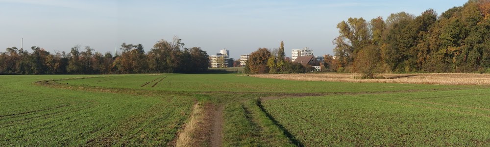 Bauernhof Schulte-Göcking – Bild 2