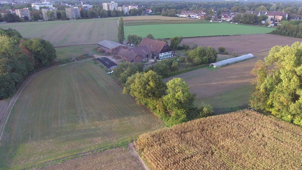 Bauernhof Schulte-Göcking – Bild 6