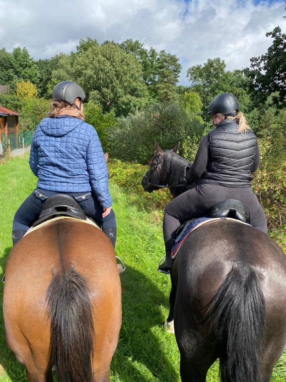 Landhof Belka – Bild 6