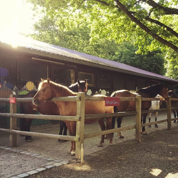 Jugendfarm Sindolino – Bild 3