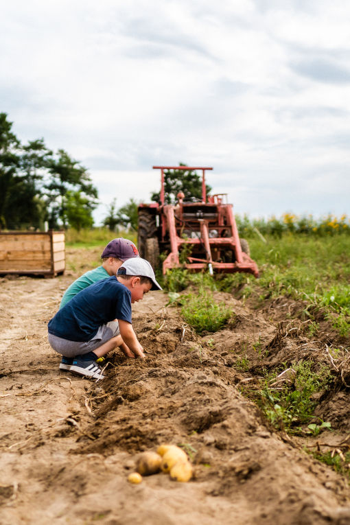 Vauß-Hof Verein - Lernort Bauernhof und Hof Akademie – Bild 6