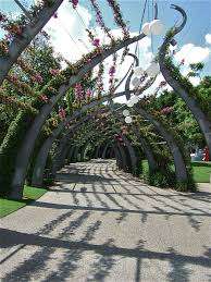 Louisa Gardens - Sydney's Northend Park – Bild 2