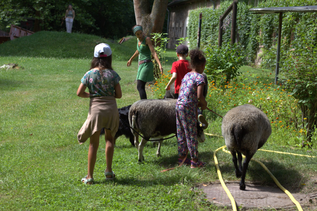 Kinderbauernhof Halle – Bild 2