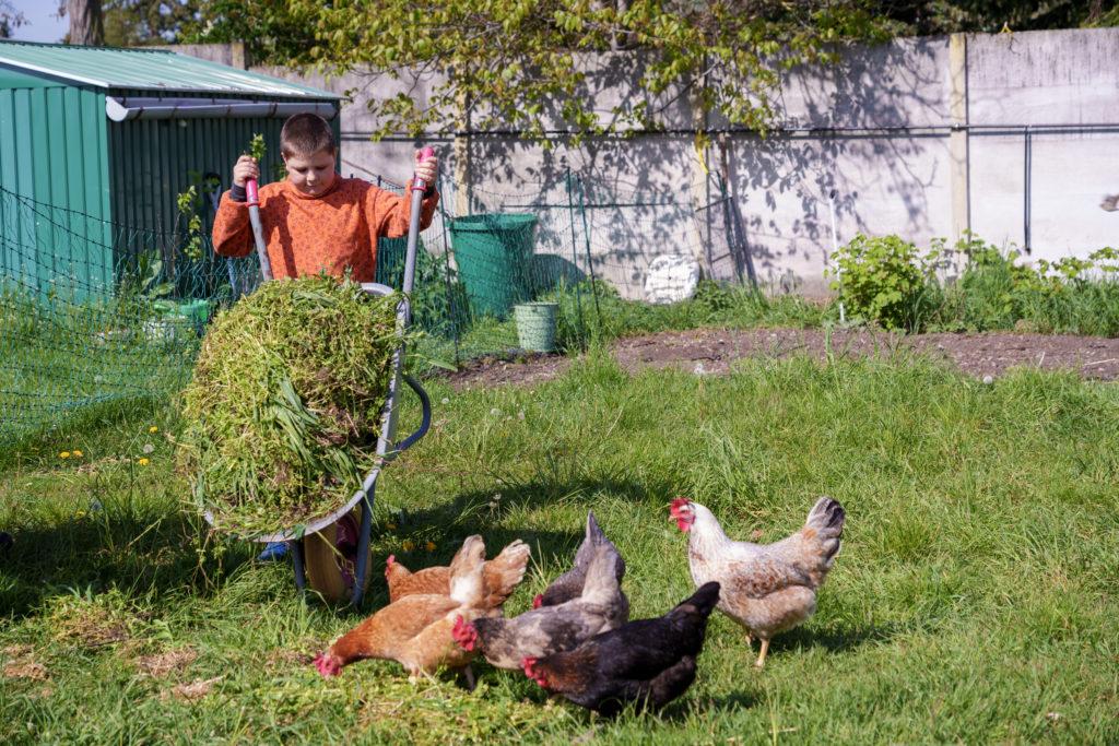 Kinderbauernhof Halle – Bild 3