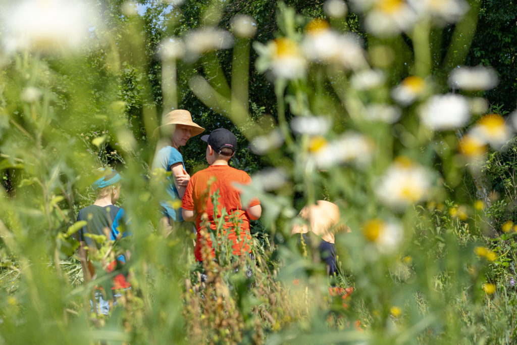 Kinderbauernhof Halle – Bild 4