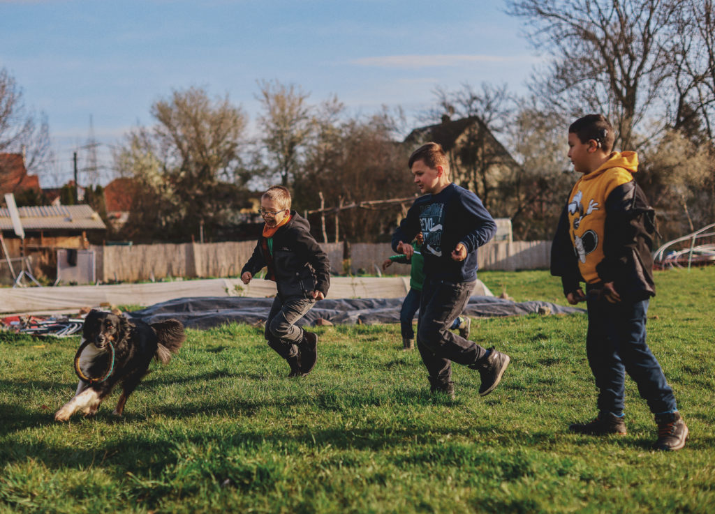 Kinderbauernhof Halle – Bild 5