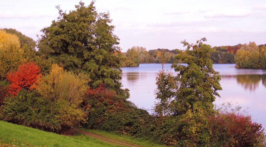 Erholungspark Elfrather See – Bild 1