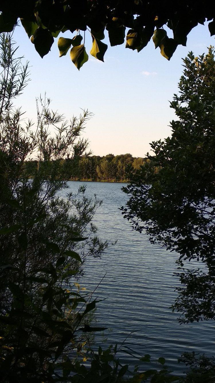 Erholungspark Elfrather See – Bild 5