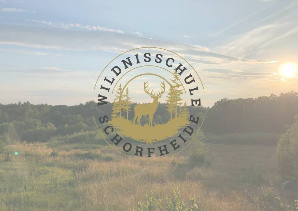 Wildnisschule Schorfheide – Bild 2