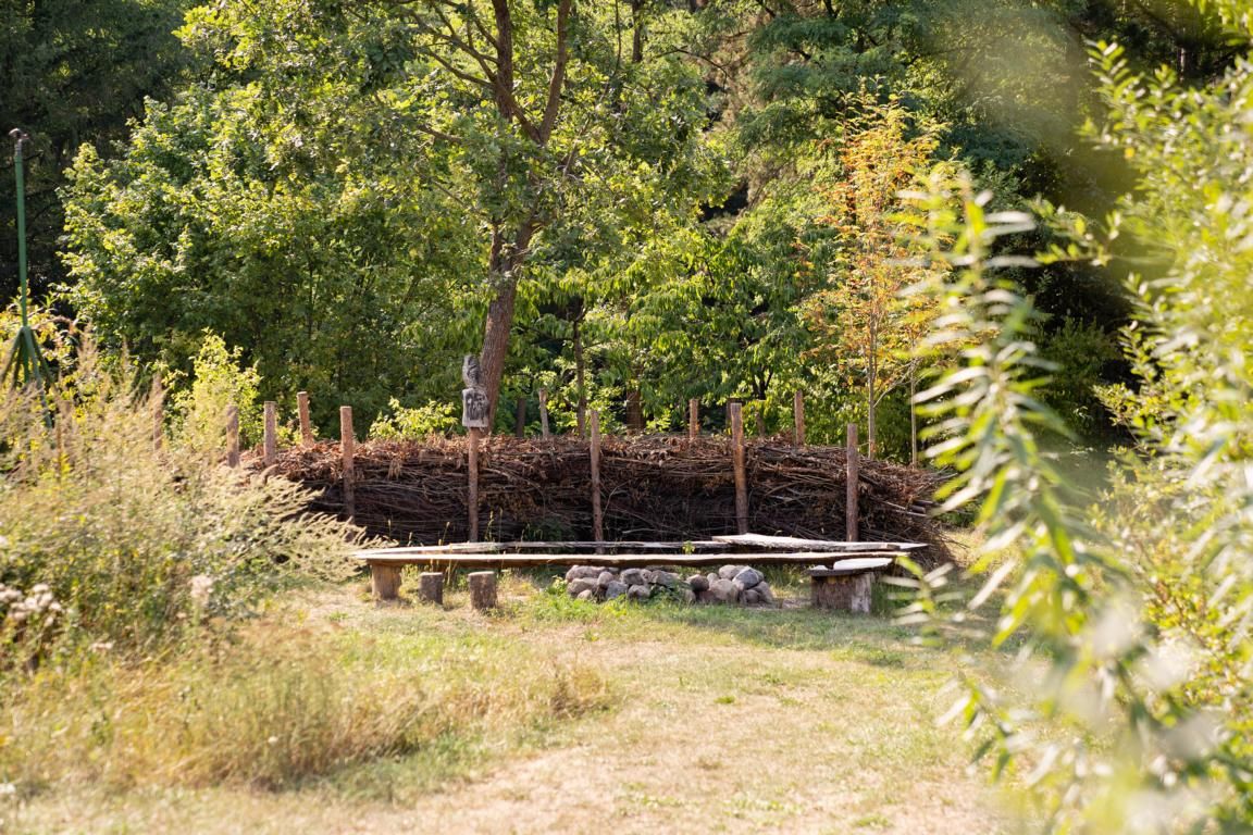 Wildnisschule Schorfheide – Bild 3