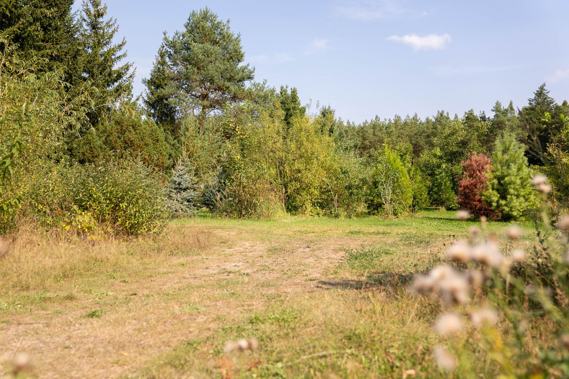 Wildnisschule Schorfheide – Bild 4