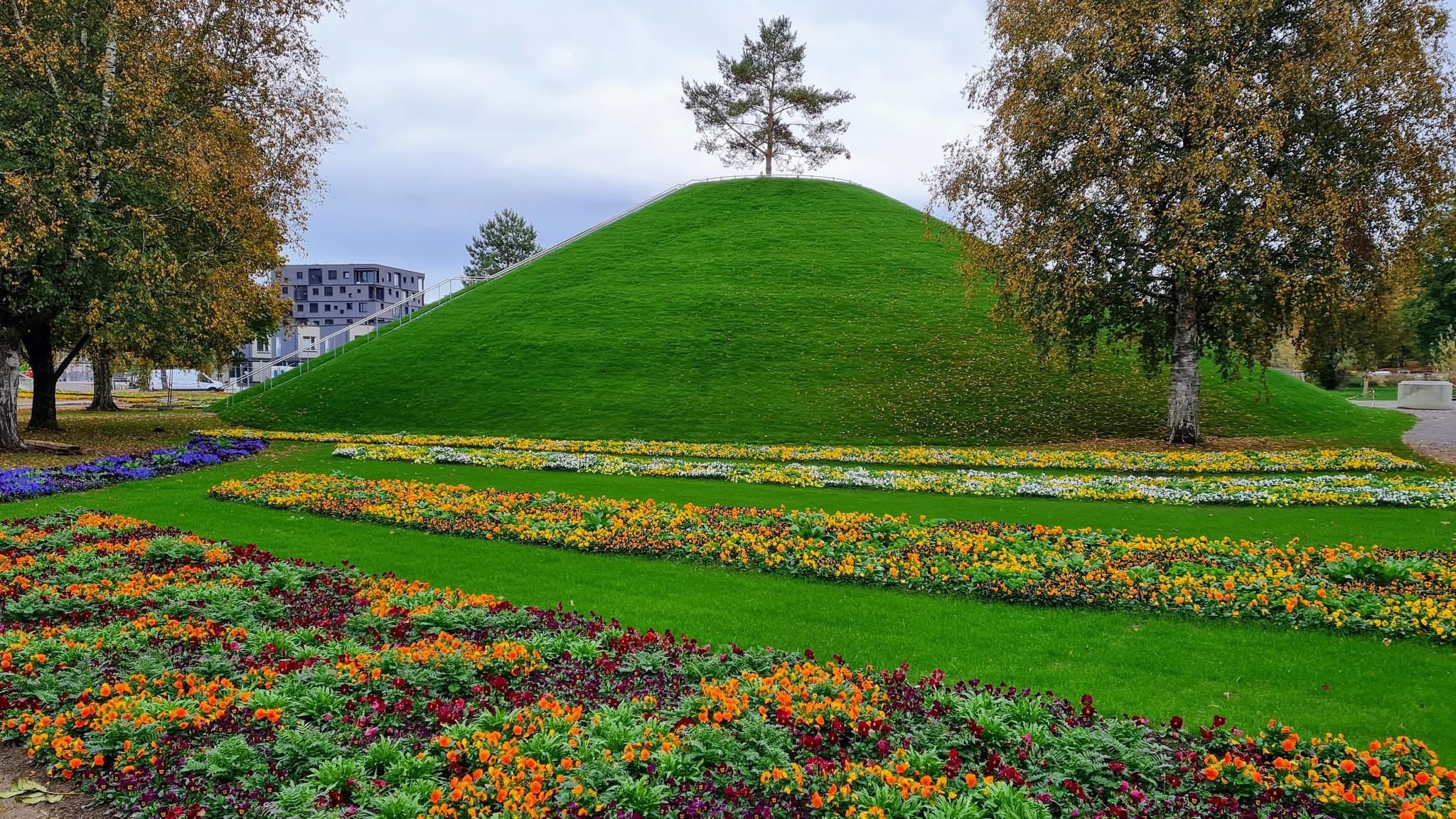 Argenwiese – Bild 3