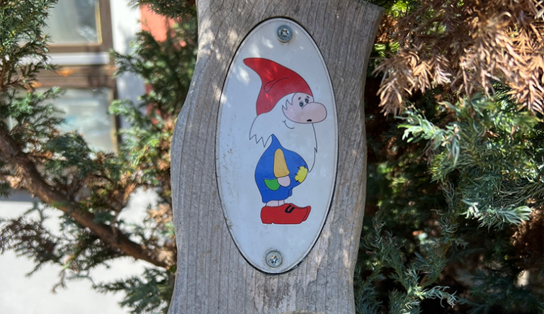 Natur-Erlebnispfad Hademar Waldwichtel – Bild 1