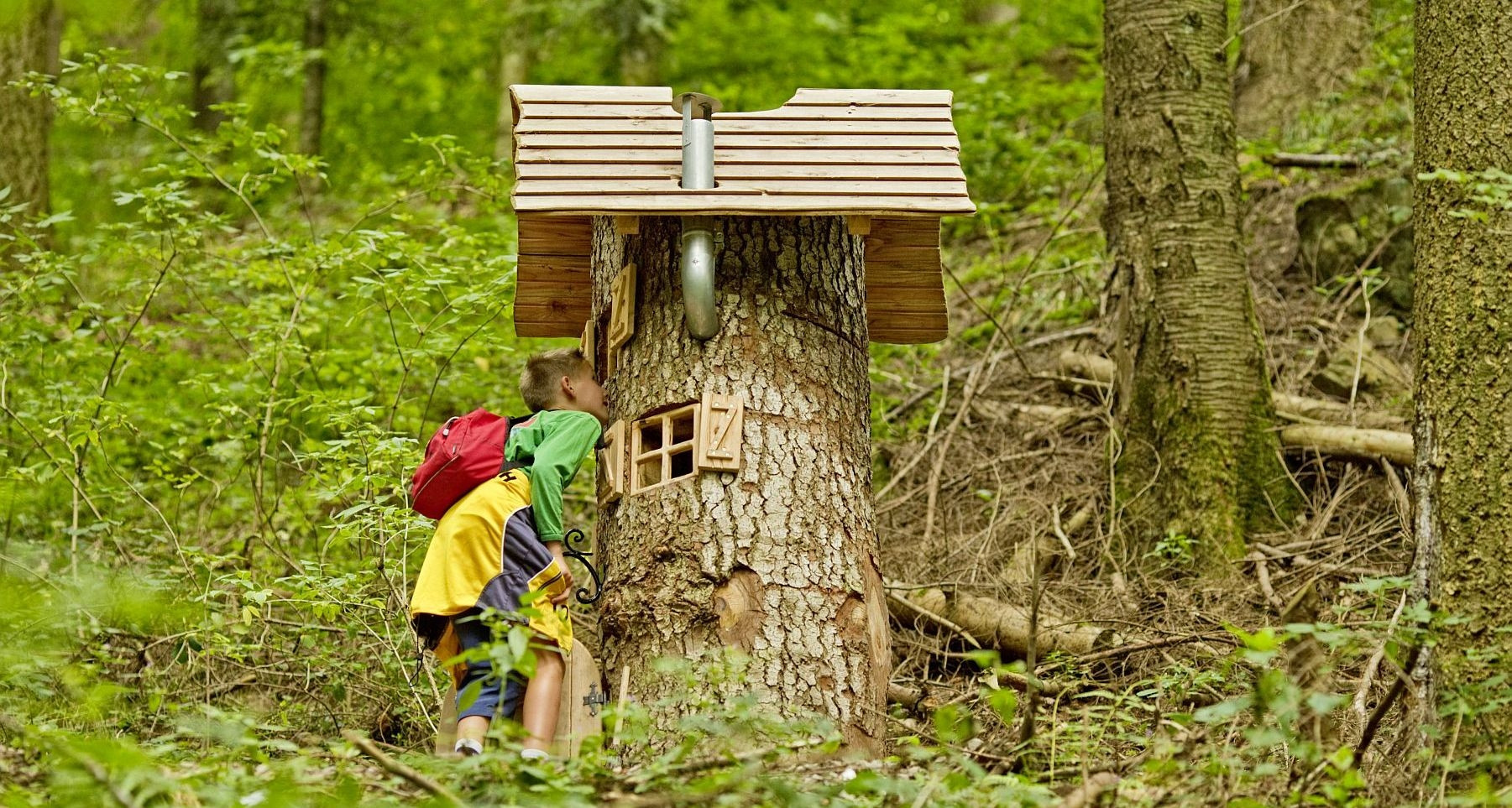 Natur-Erlebnispfad Hademar Waldwichtel – Bild 3