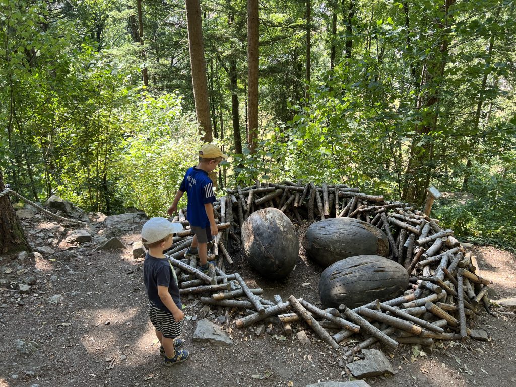 Natur-Erlebnispfad Hademar Waldwichtel – Bild 4