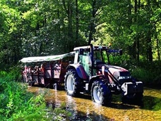 Fehlenhof - Urlaub auf dem Bauernhof – Bild 3