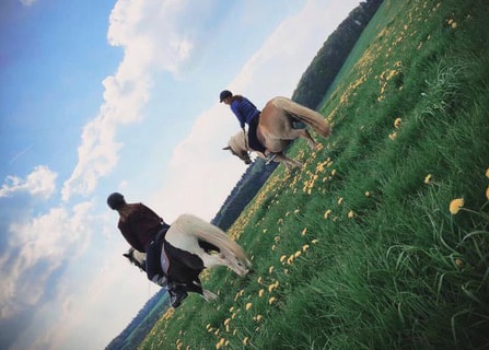 Fehlenhof - Urlaub auf dem Bauernhof – Bild 5