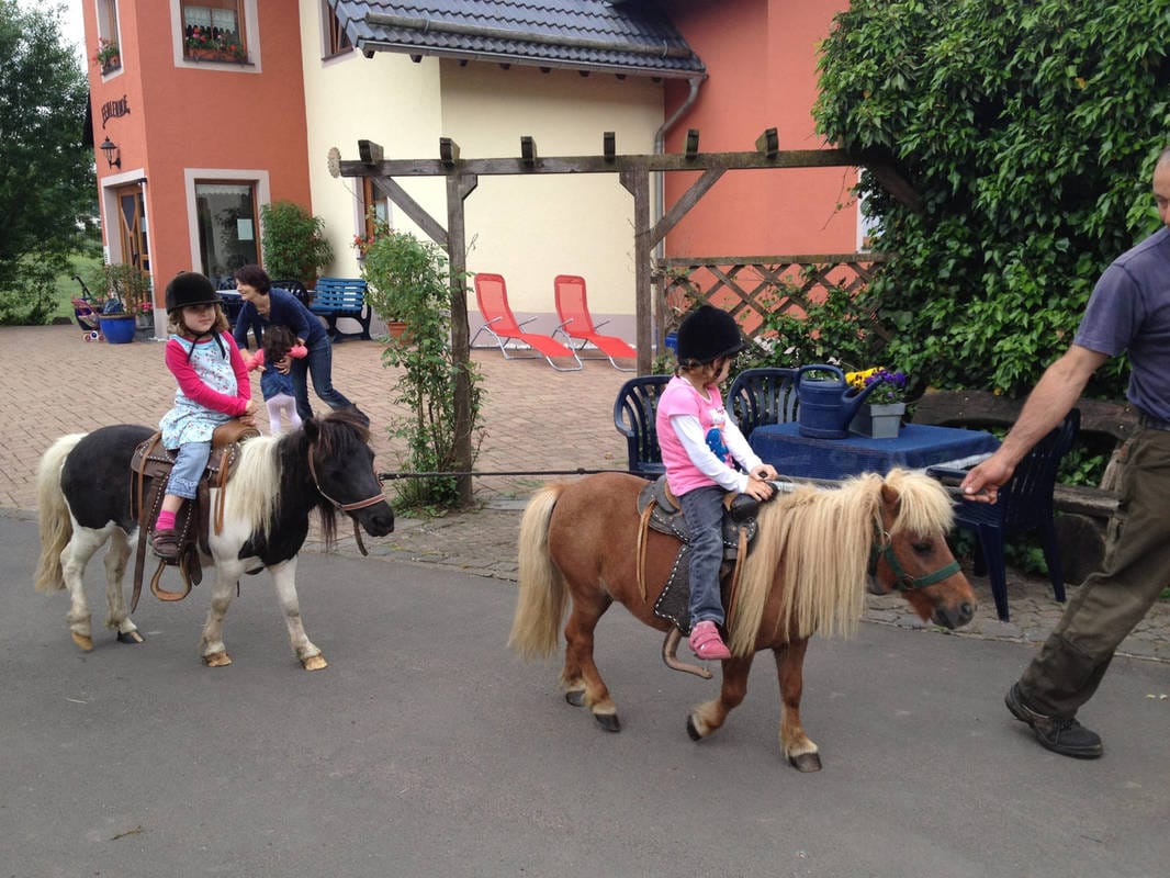Fehlenhof - Urlaub auf dem Bauernhof – Bild 6