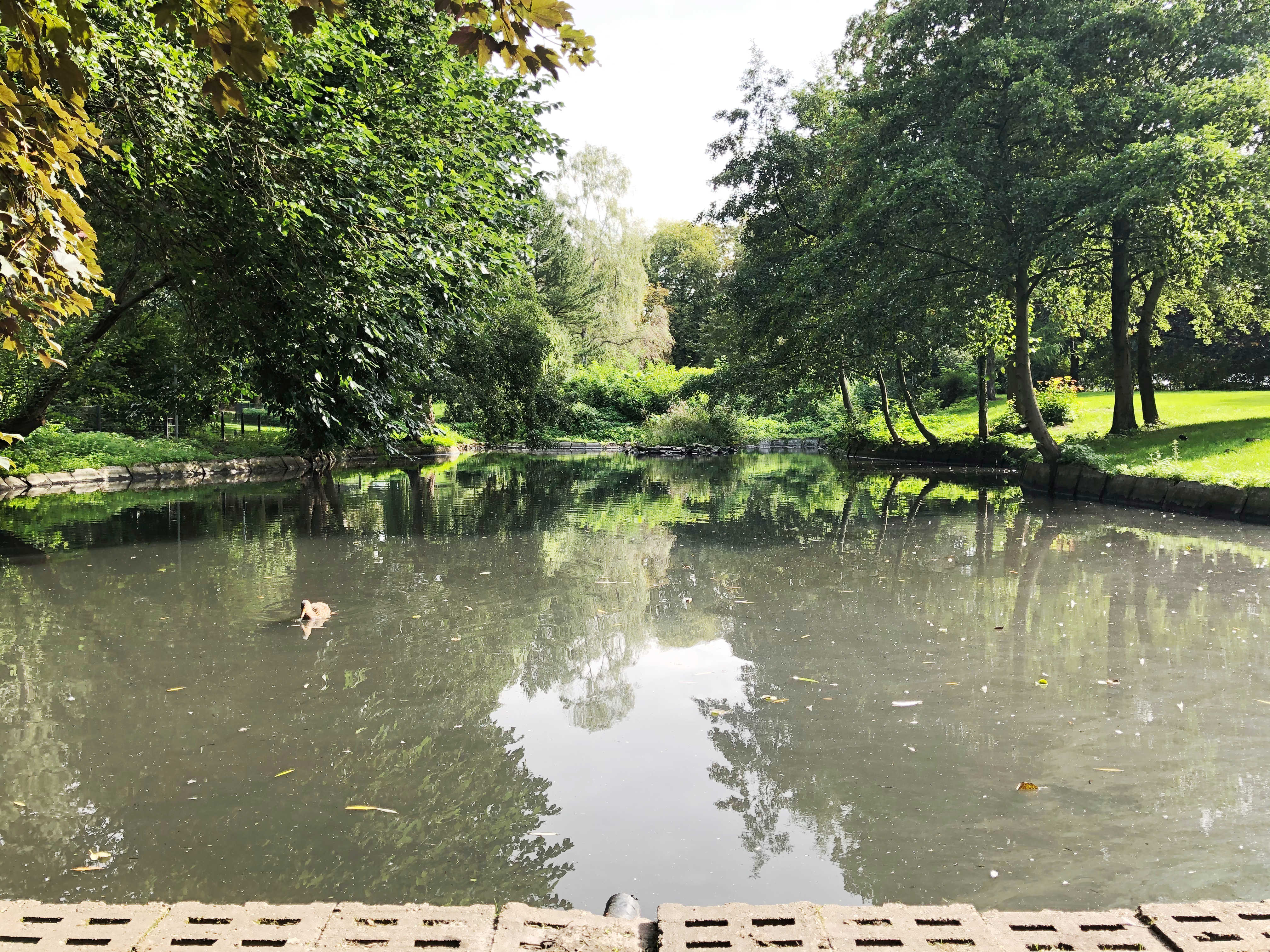 Erlbruchpark – Bild 3