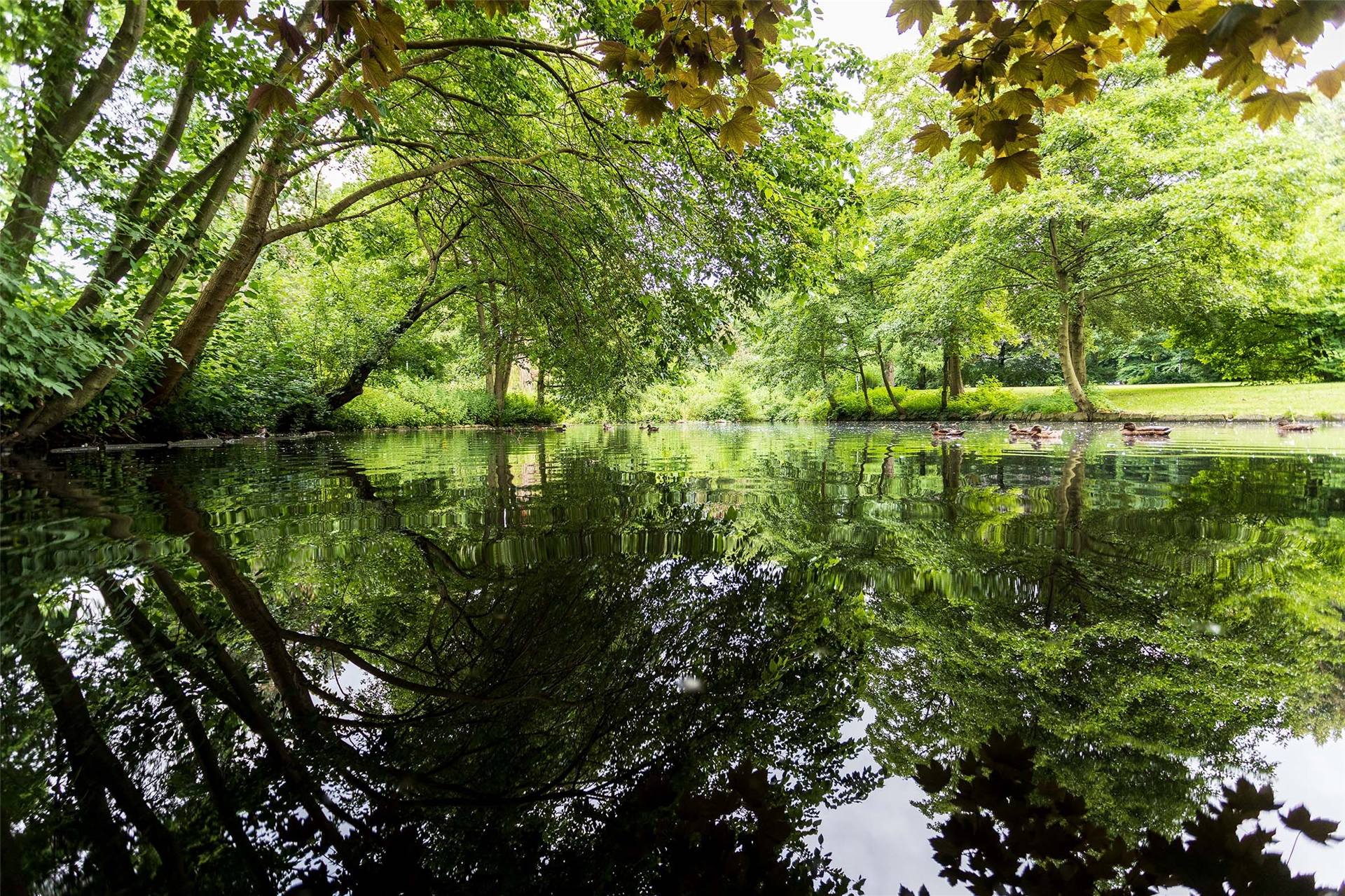 Erlbruchpark – Bild 5