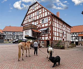 Ferienhof Bächt – Bild 2