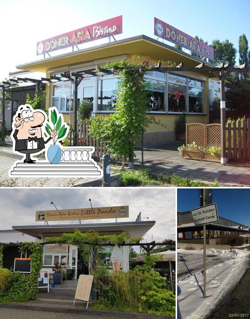 Little Panda – Bild 2