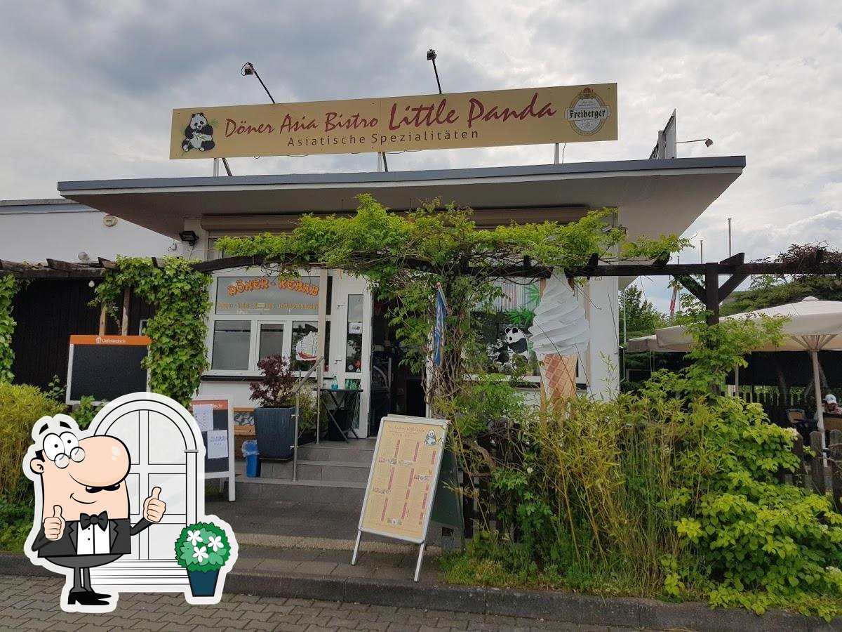 Little Panda – Bild 3