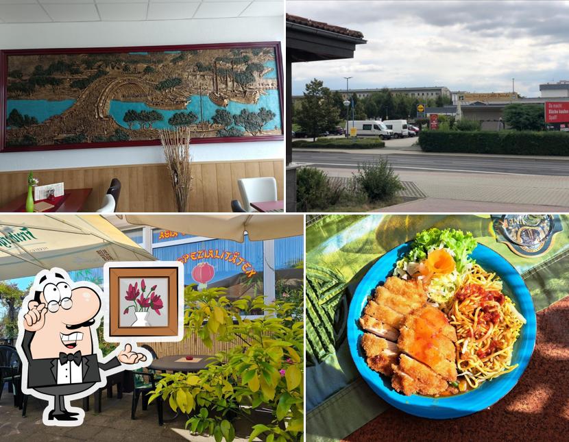 Little Panda – Bild 6