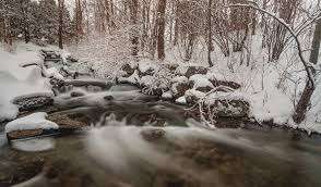 Snetsinger Park – Bild 6