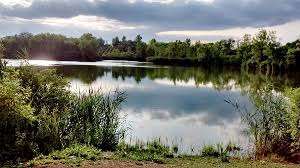 Boisé Park – Bild 3