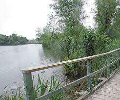 Boisé Park – Bild 5