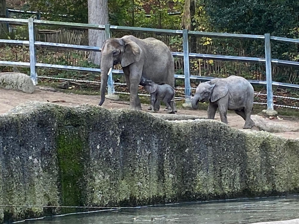 JuniorZoo – Bild 2