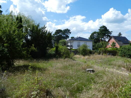 Rodelberg Senzig – Bild 3